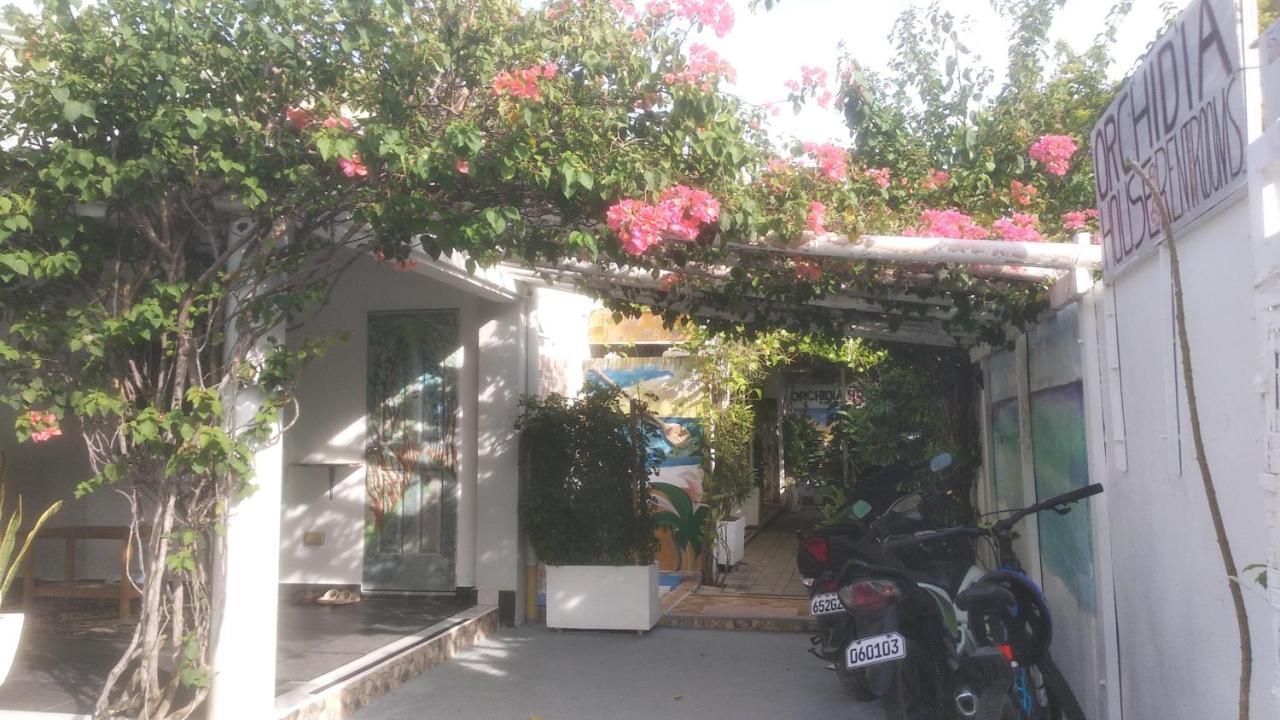 Gardenia House Rent Rooms Santa Fe  Ngoại thất bức ảnh